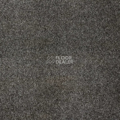 Ковролин AW Invictus Carolus 98 фото 1 | FLOORDEALER